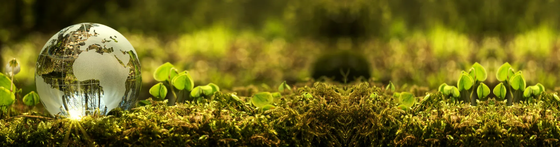 Our Responsibility Towards Humankind