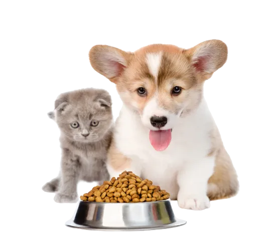 Pet food