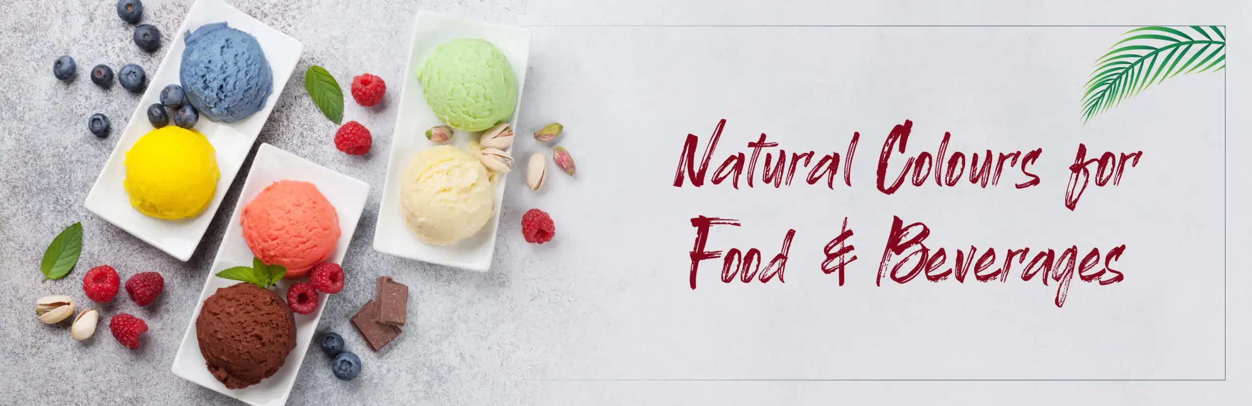 natureza colour icecream sample on plate