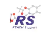 Reach Support Logo
