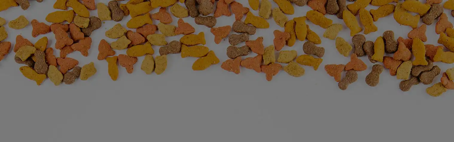 Pet Safe Food Coloring 